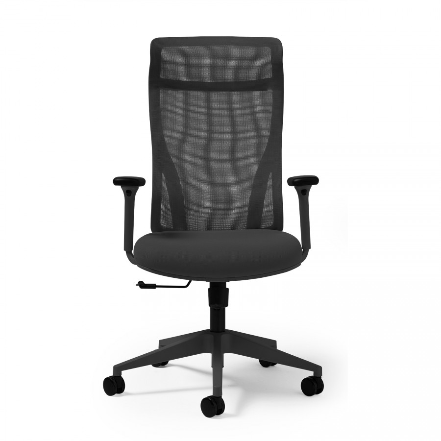 Dione High Back Task Chair